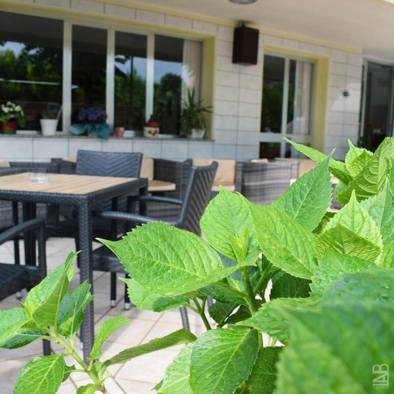 Hotel Gattuccio Cesenatico Εξωτερικό φωτογραφία